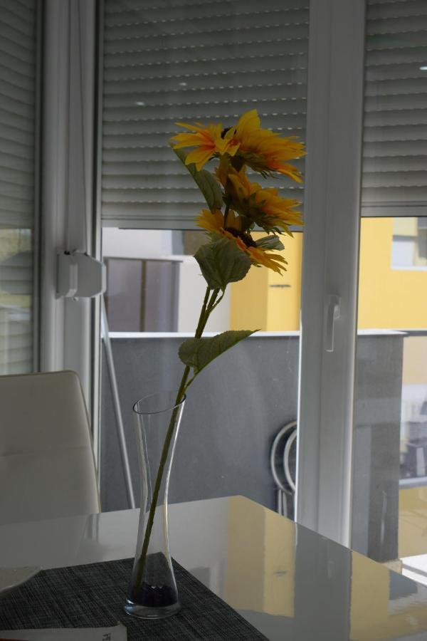 Apartmani K&V Veliko Gradište 외부 사진