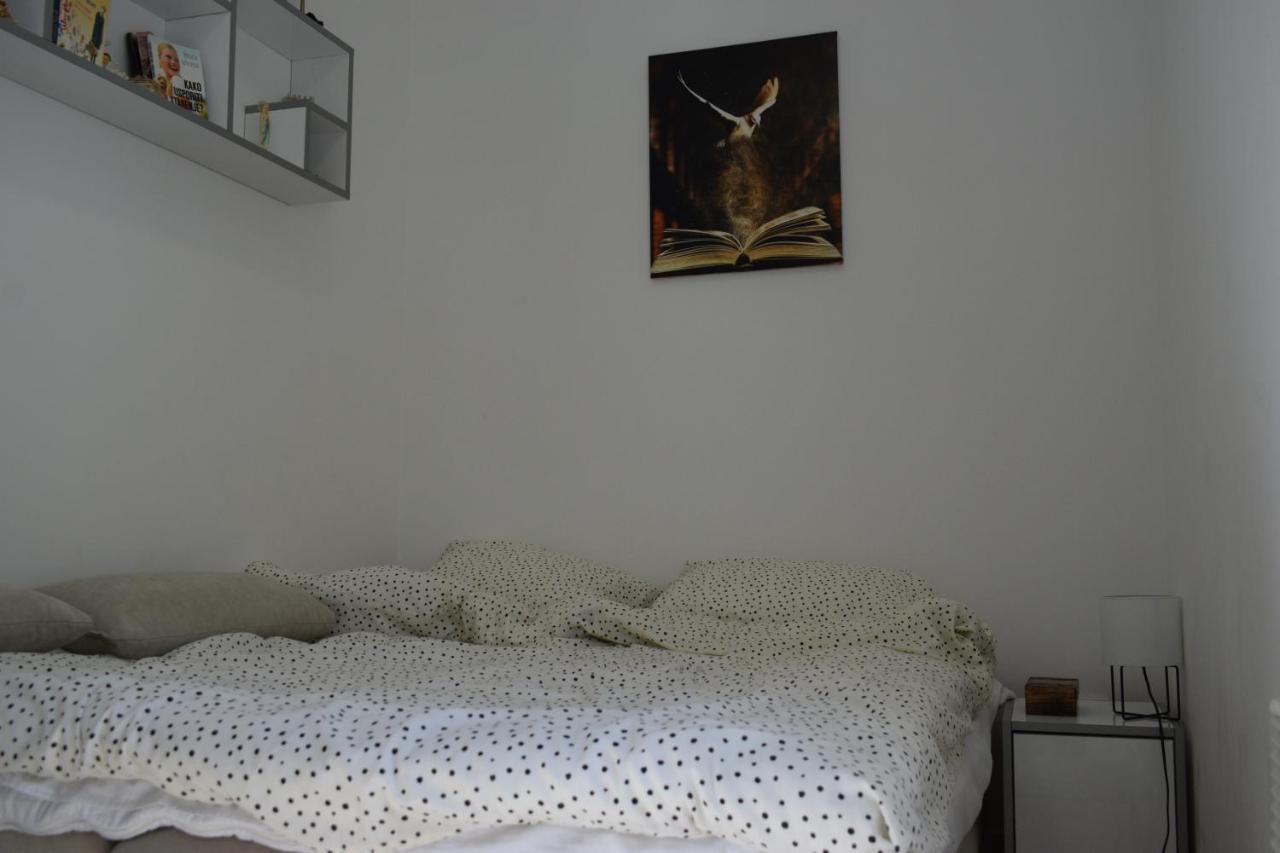 Apartmani K&V Veliko Gradište 외부 사진