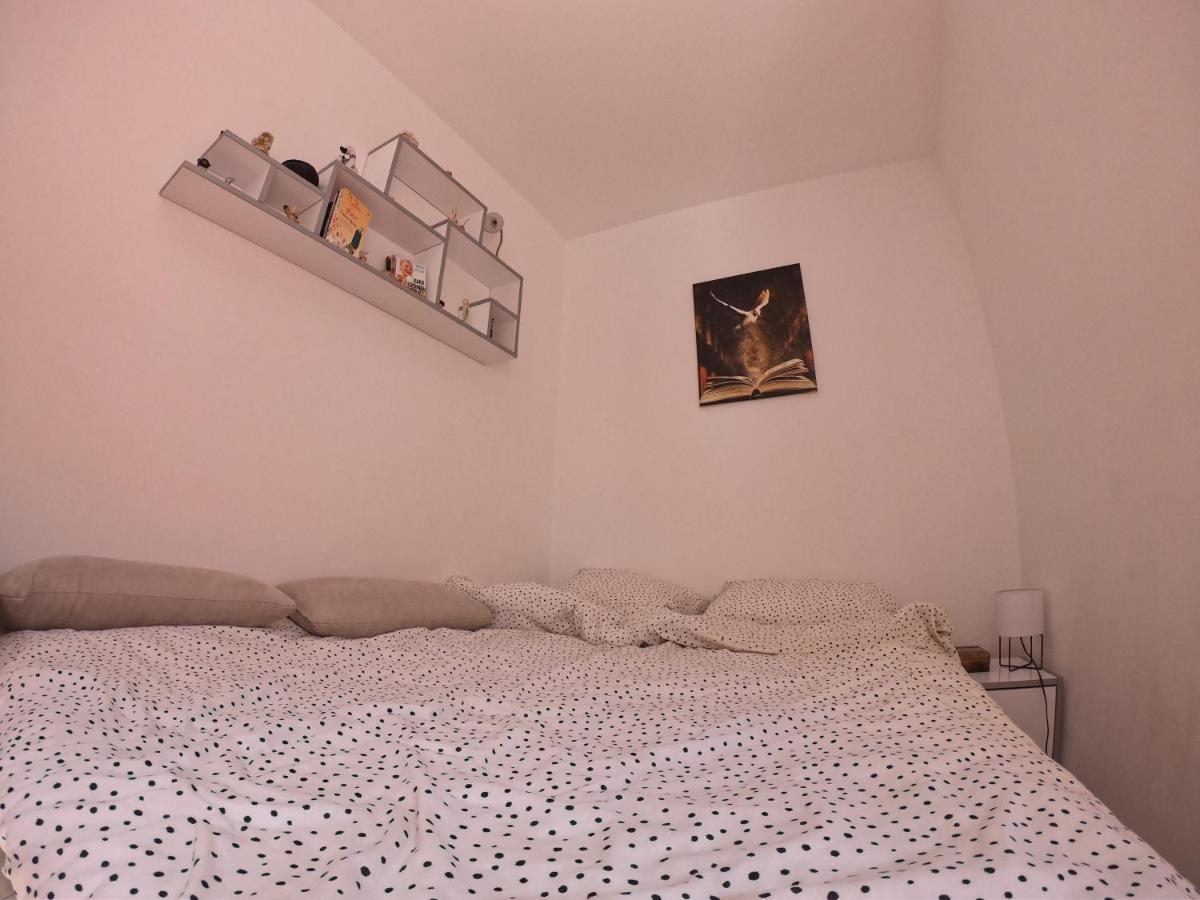 Apartmani K&V Veliko Gradište 외부 사진